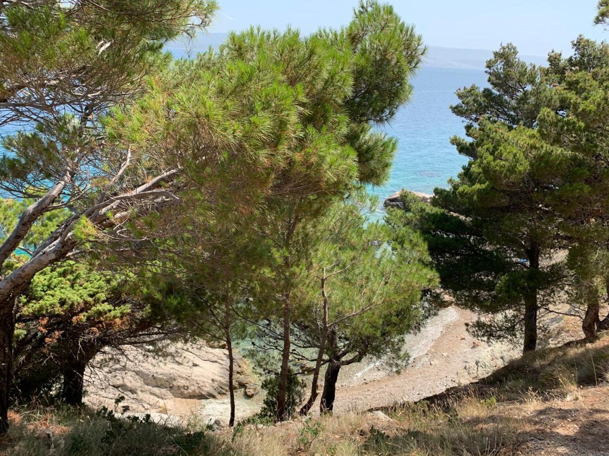 Marusici Omis Relaxing Sea Lounge公寓 外观 照片